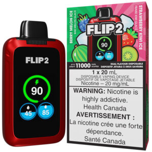 Flip 2 Disposable Vape: Berry Melon Ice & Strawberry Kiwi Ice (1pk)